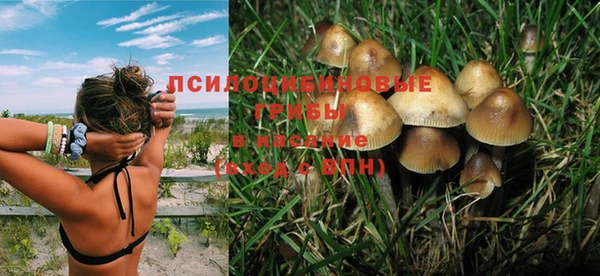 метадон Алексин