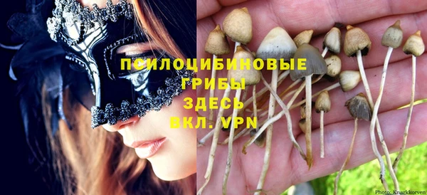 гашик Абинск