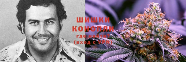 гашик Абинск
