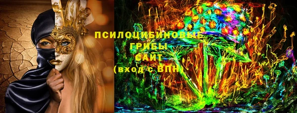 Альфа ПВП Сосновый Бор