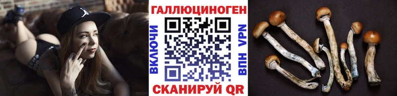 Псилоцибиновые грибы GOLDEN TEACHER  Арск 
